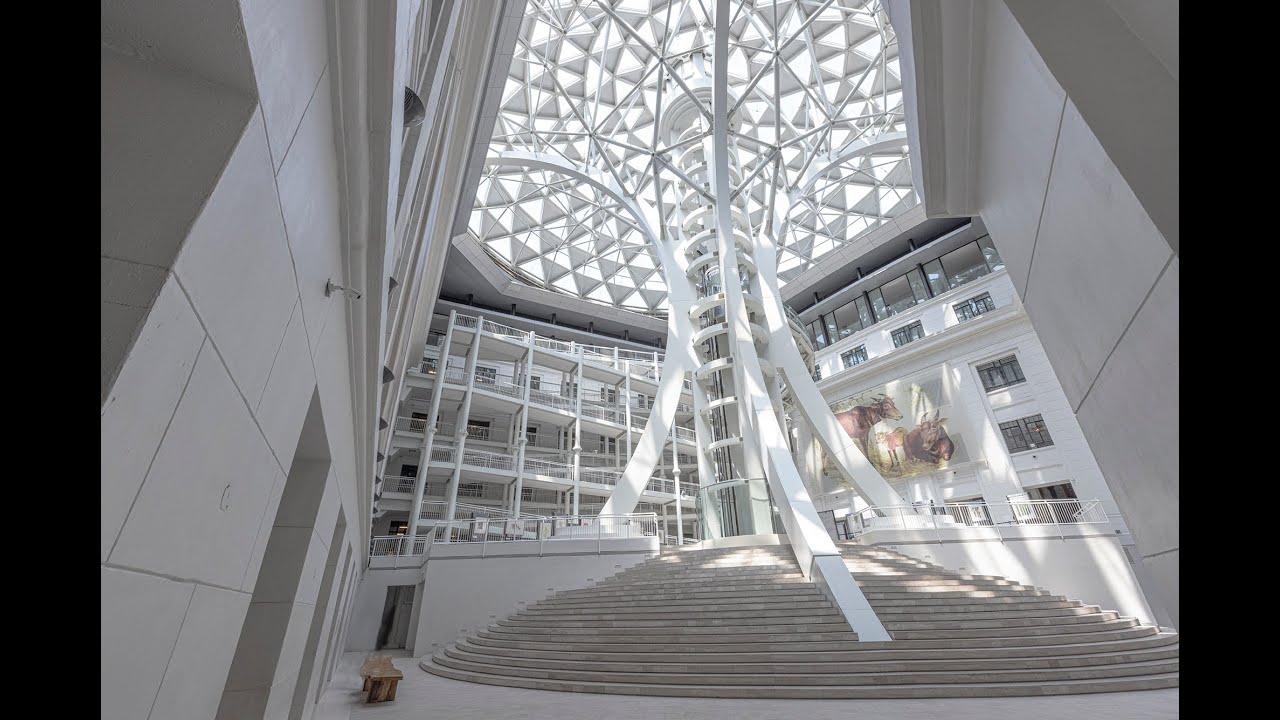 S1E3: Adaptive Reuse Architecture |The National Museum of Natural History
