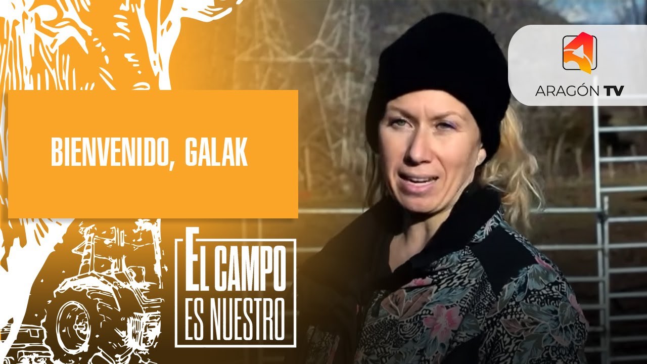 Bienvenido, míster Galak