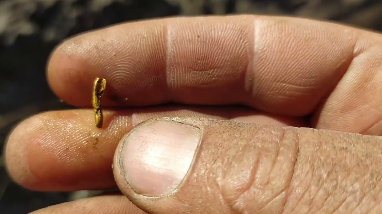 cada dia uma surpresa diferente. Gold finder 2000 Gold Monster 1000 vanquish e ORX na serra do ouro
