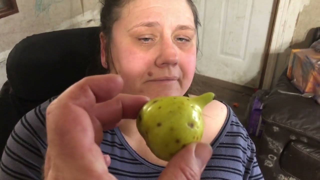 Natalie tries an unripe Deanna fig