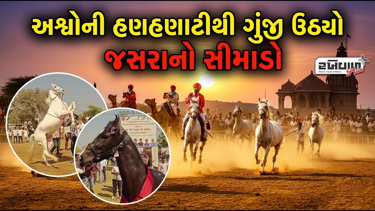 અશ્વોની હણહણાટીથી ગુંજી ઉઠ્યો જસરાનો સીમાડો | જસરાનો 15મો મેગા અશ્વ મેળો