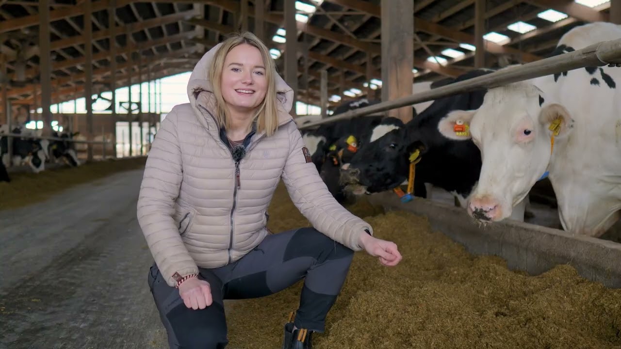 Betriebsvorstellung Eider Milch GbR // dairyQ-Trainee Betrieb
