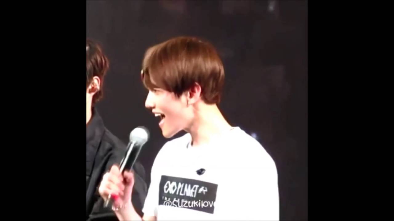 EXO - FUNNY MOMENT 2
