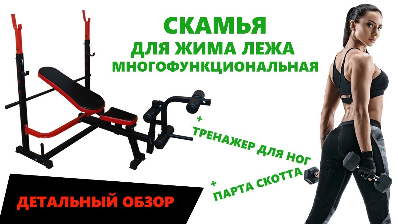 Обзор скамьи для жима лежа