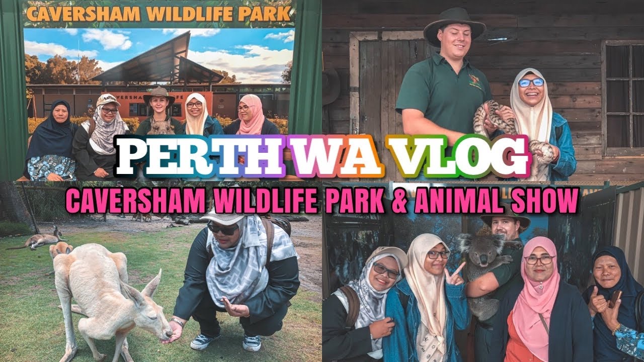 Caversham Wildlife Park & Animal Show | Perth Western Australia Vlog