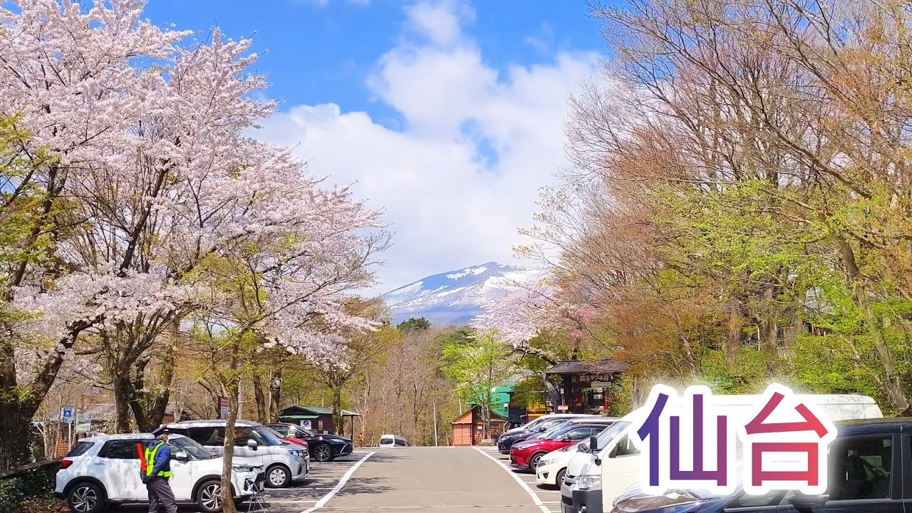 日本東北自駕遊Ep1 宮城縣 - 仙台市、藏王町、鹽釜水產市場 (Sendai City, Zao Town, Shiogama Fish Market)