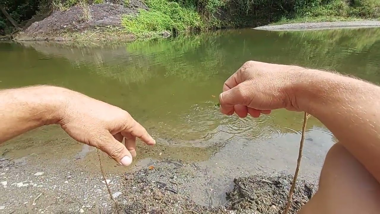 Aventurando en éste río en busca de las tilapias 🐟🎣🐟🎣🐟🎣