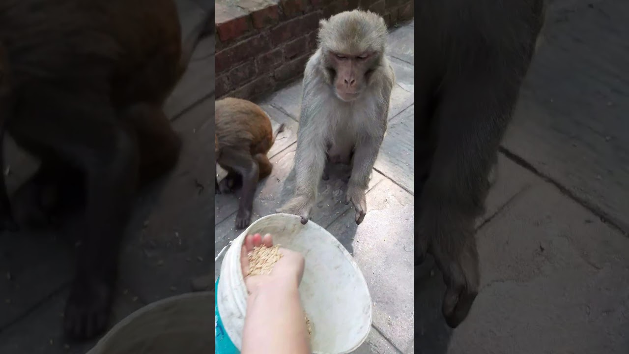 मस्ती लाईफ।