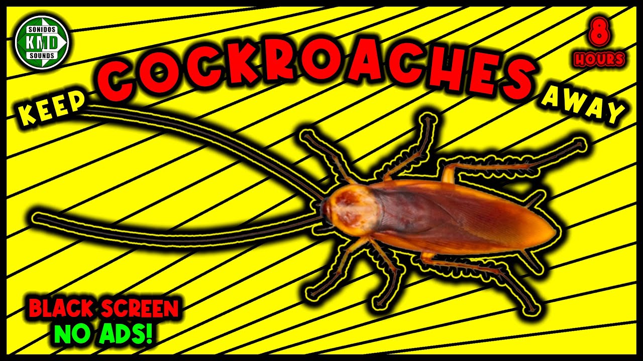 ANTI COCKROACHES REPELLENT SOUND ⛔🕷 KEEP COCKROACHES AWAY - ULTRASONIC SOUND