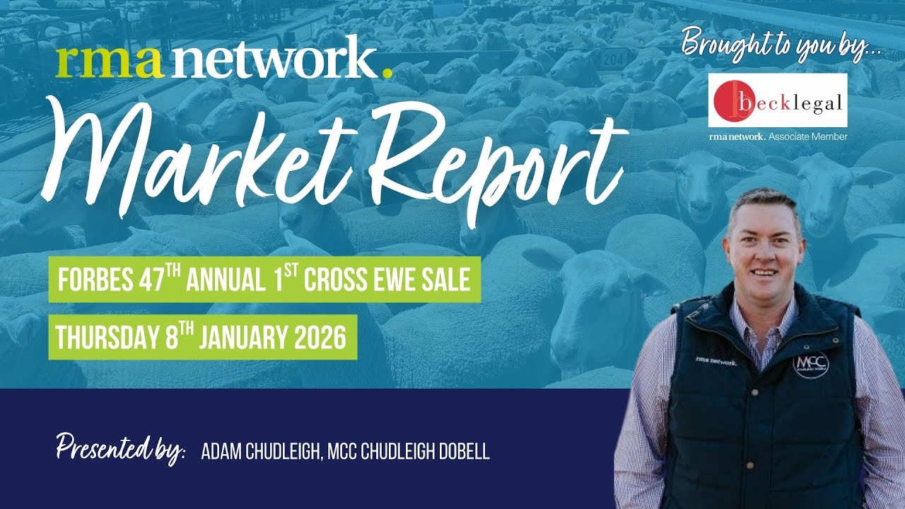 Forbes 47th Annual 1st Cross Ewe Sale - Thursday 8th January 2026