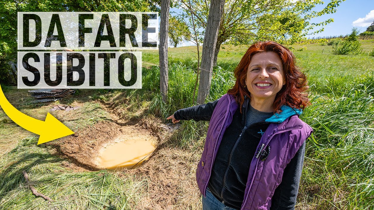 Assecondare il DESIDERIO dell'ACQUA. Creiamo BACINI per la fertilità💦