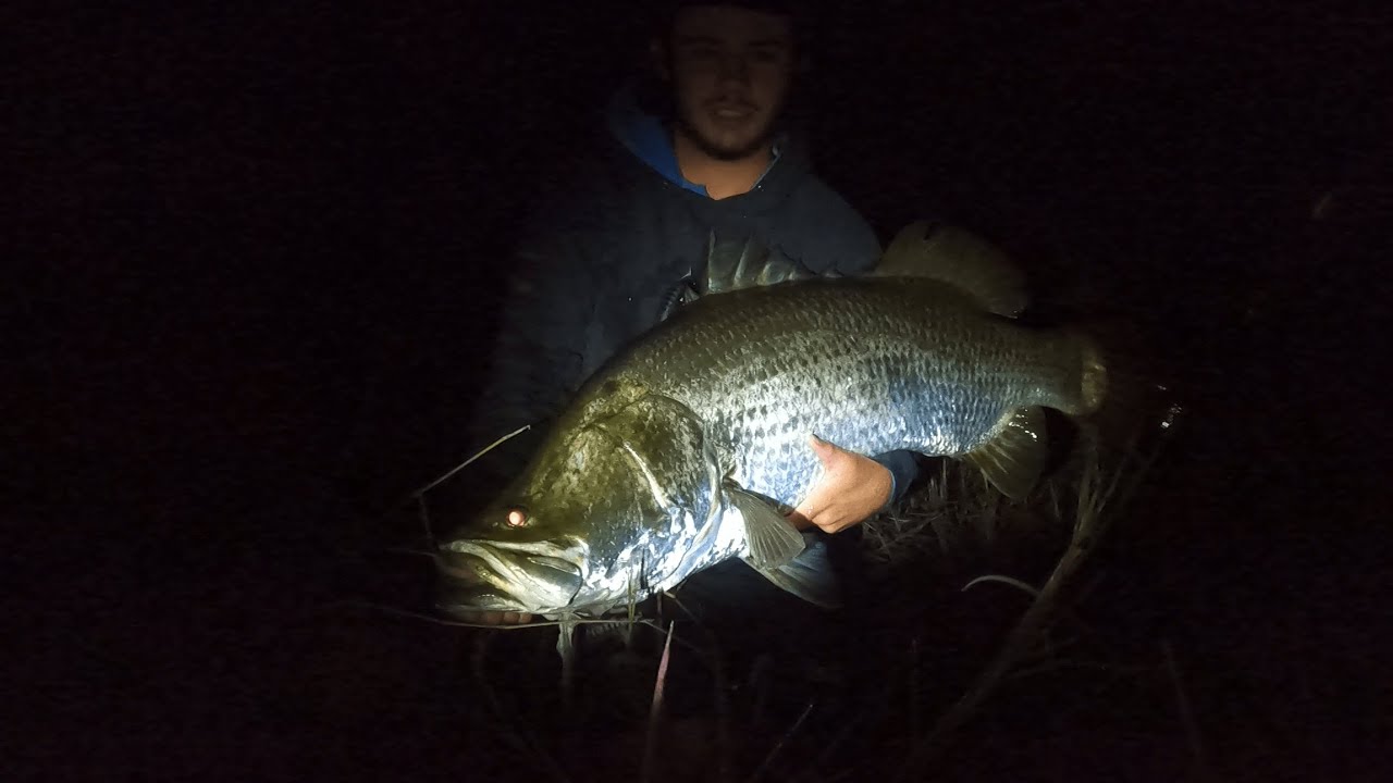 Once in a lifetime Fish, MASSIVE Barramundi. TOPWATER BARRA Fishing in lake Tinaroo