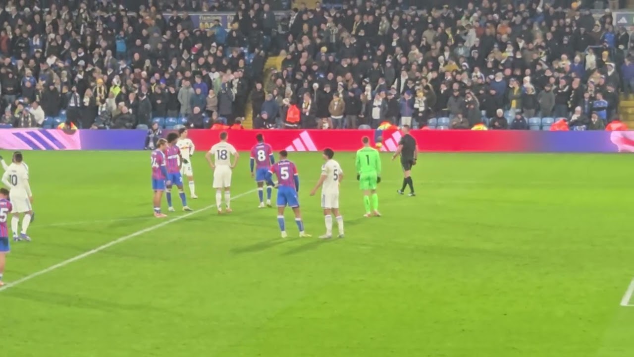 Leeds Vs Palace the best best ending!