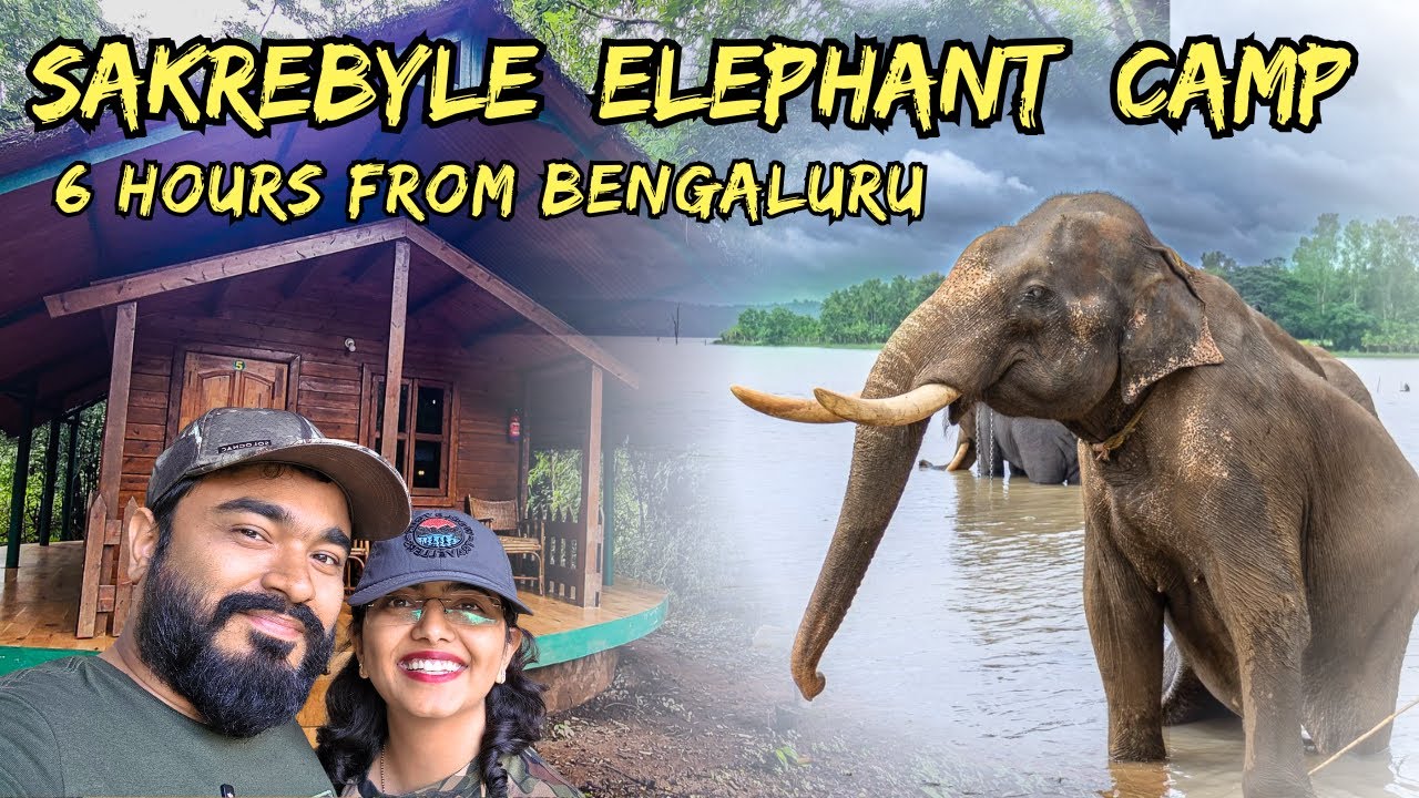 Sakrebyle Elephant Camp: A Detailed Travel Vlog | Must Visit | Monsoon Trip- Jungle Lodges & Resorts