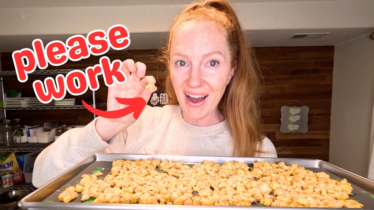 I Tried a NEW Snack In My Freeze Dryer 🙏 It's Good!