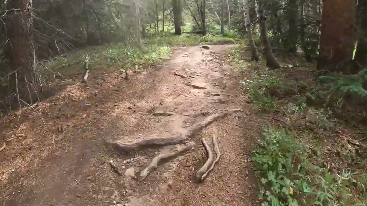 Relaxing Hike Immersion (w/ background music) - Golden Gate Canyon State Park - Golden, CO