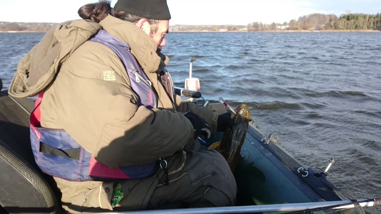 Epic catch: 8 kg pike in Nemunas River (Kauno marios)