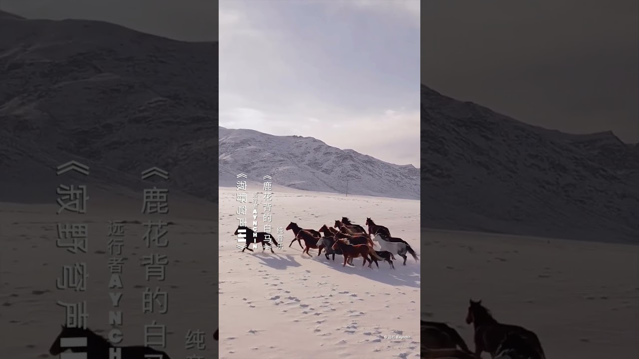 “The White Horse with a Spotted Back” | Mongolian Instrumental