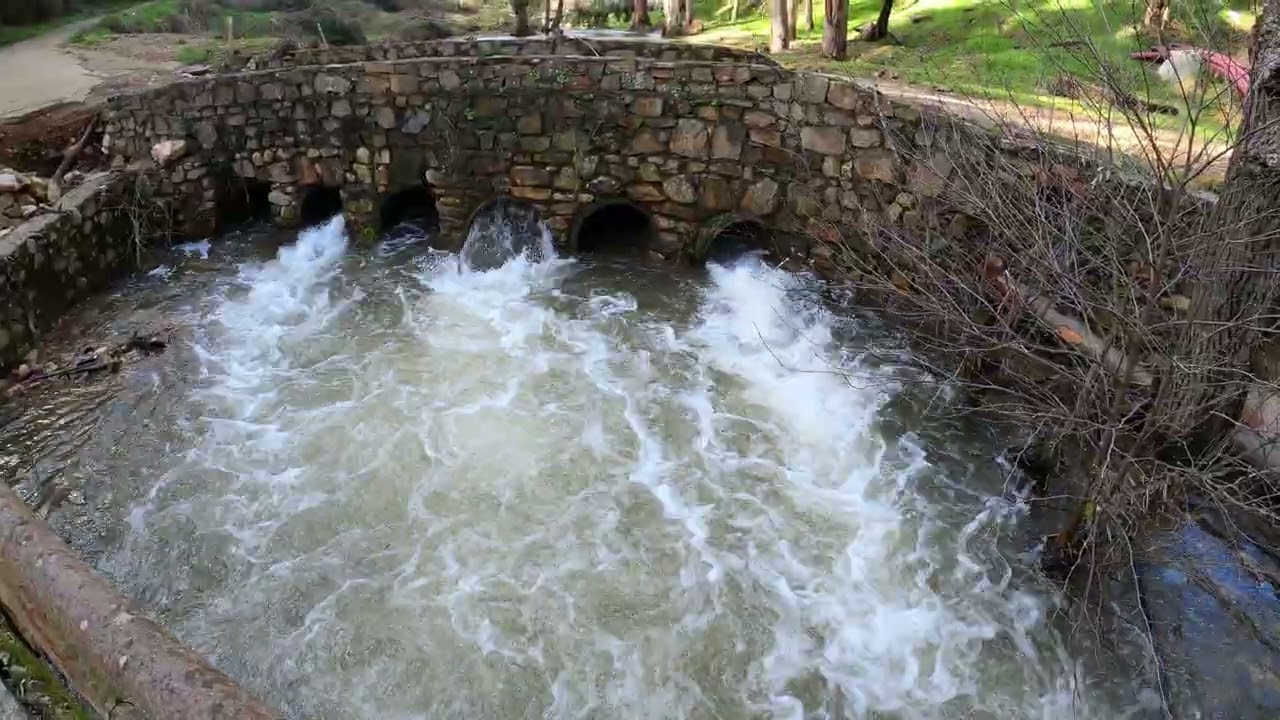 Cañamero 1