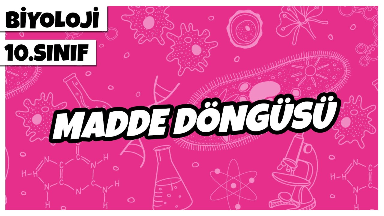10. Sınıf Biyoloji - Madde Döngüsü