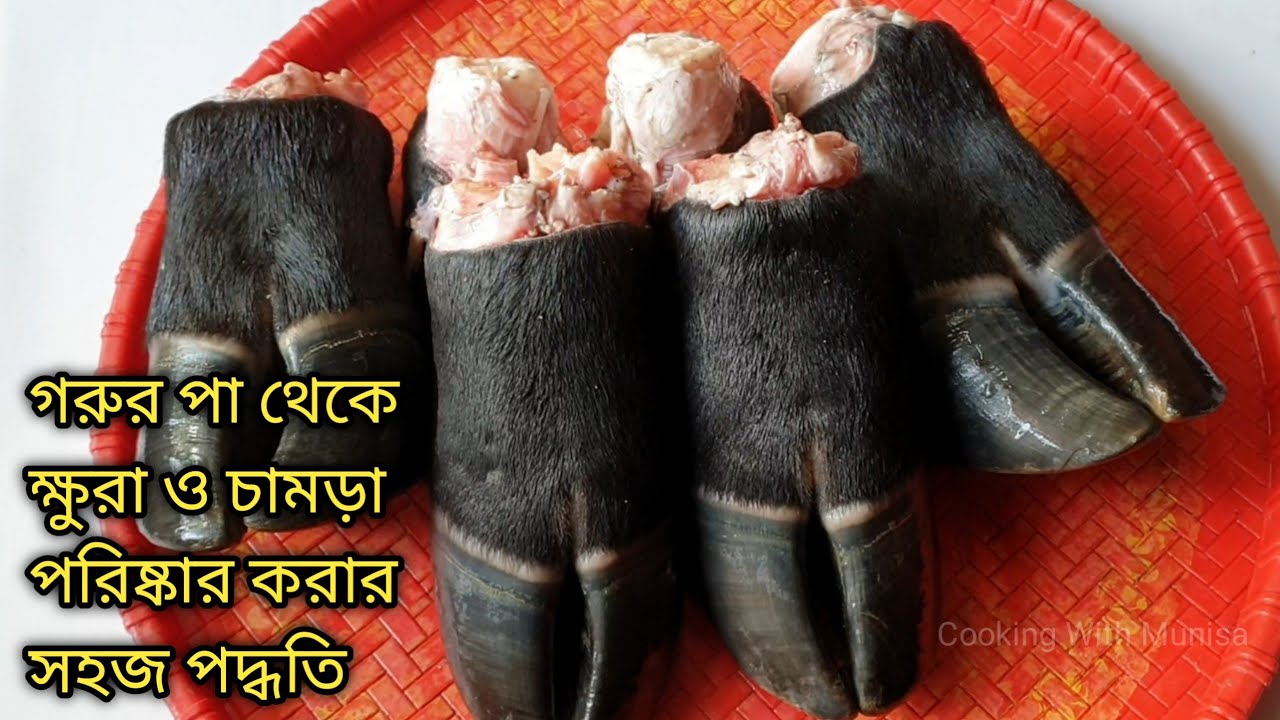 গরুর পা থেকে ক্ষুরা ও চামড়া পরিষ্কার করার সহজ পদ্ধতি| How to clean cow legs & skin tips/Leg Cleaning