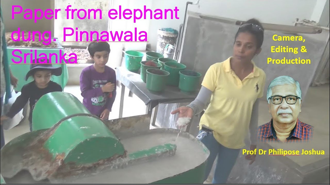 Srilanka Pinnawala Paper from elephant dung