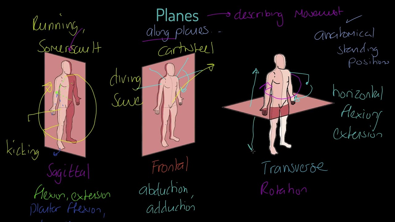 OCR A-level PE - Planes of Movement