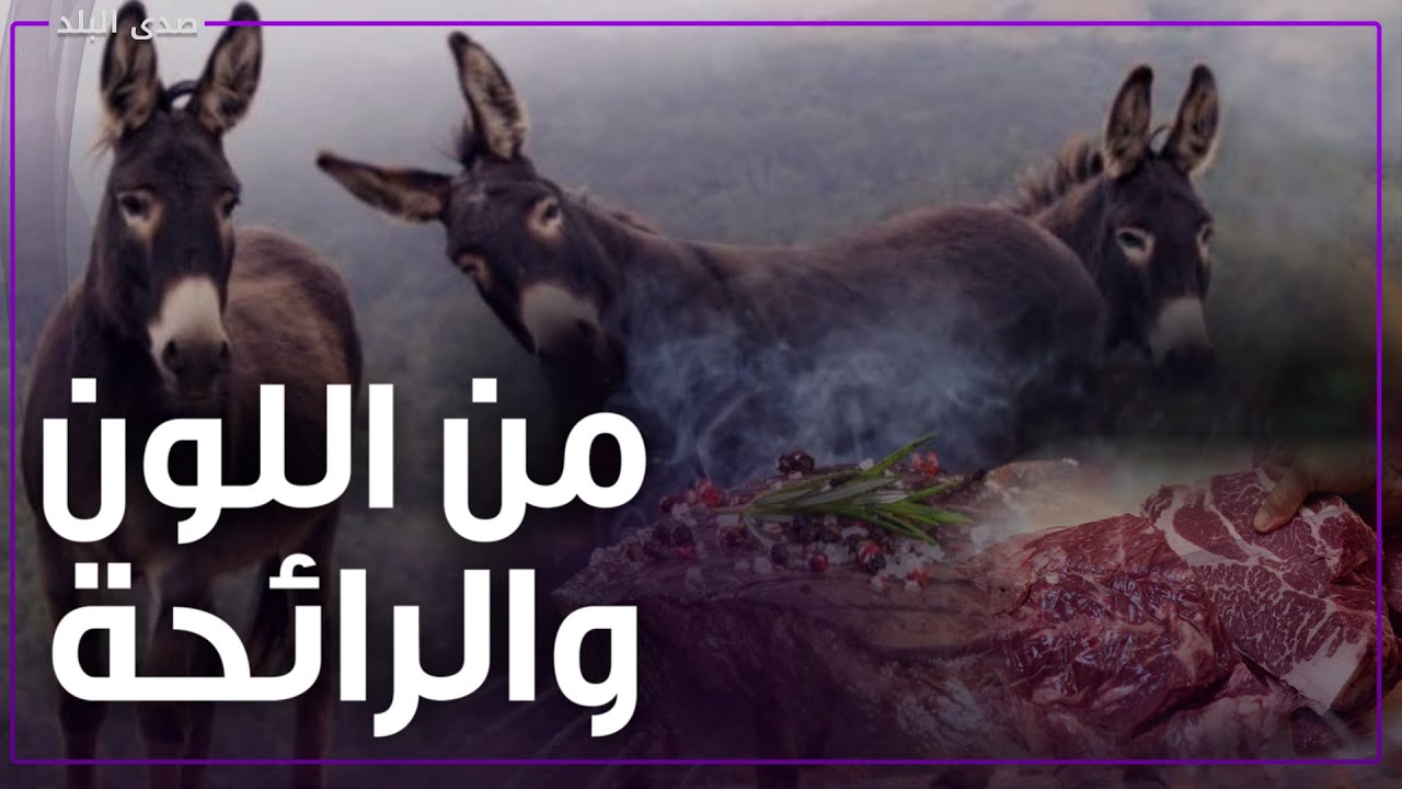 مستحيل بعد طهيها..كيف تفرق بين لحم الحمير والبقري ؟