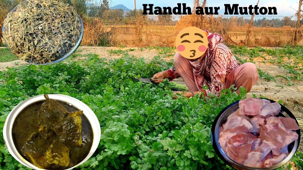 Handh aur Mutton Banane ka Asli Tarika ✨ | Traditional Kashmiri Recipe/Ramadan viral recipe /