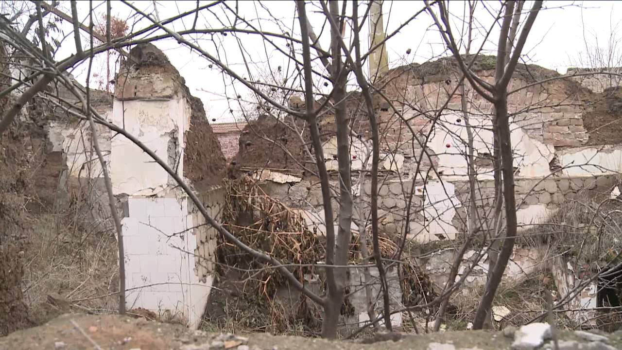 Navetistul Banatean - Bulgari de ciocolata