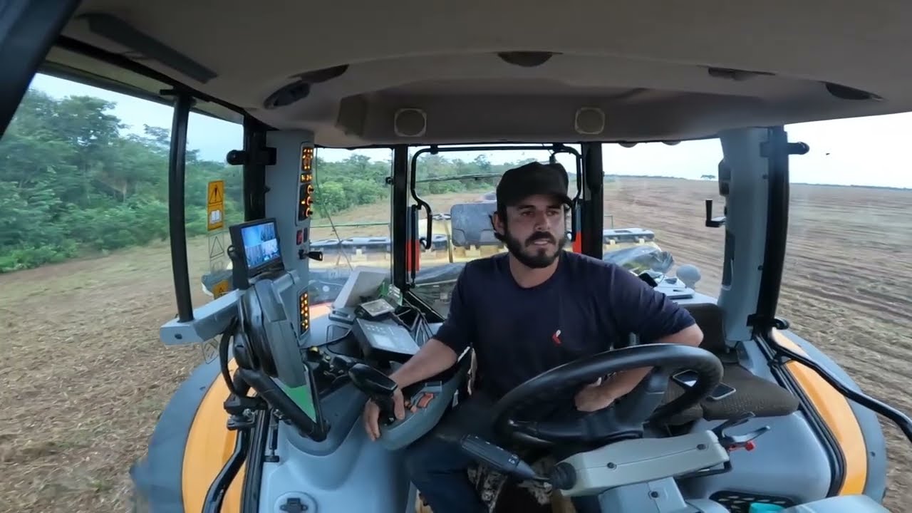 Mais um talhão de milho finalizando . 