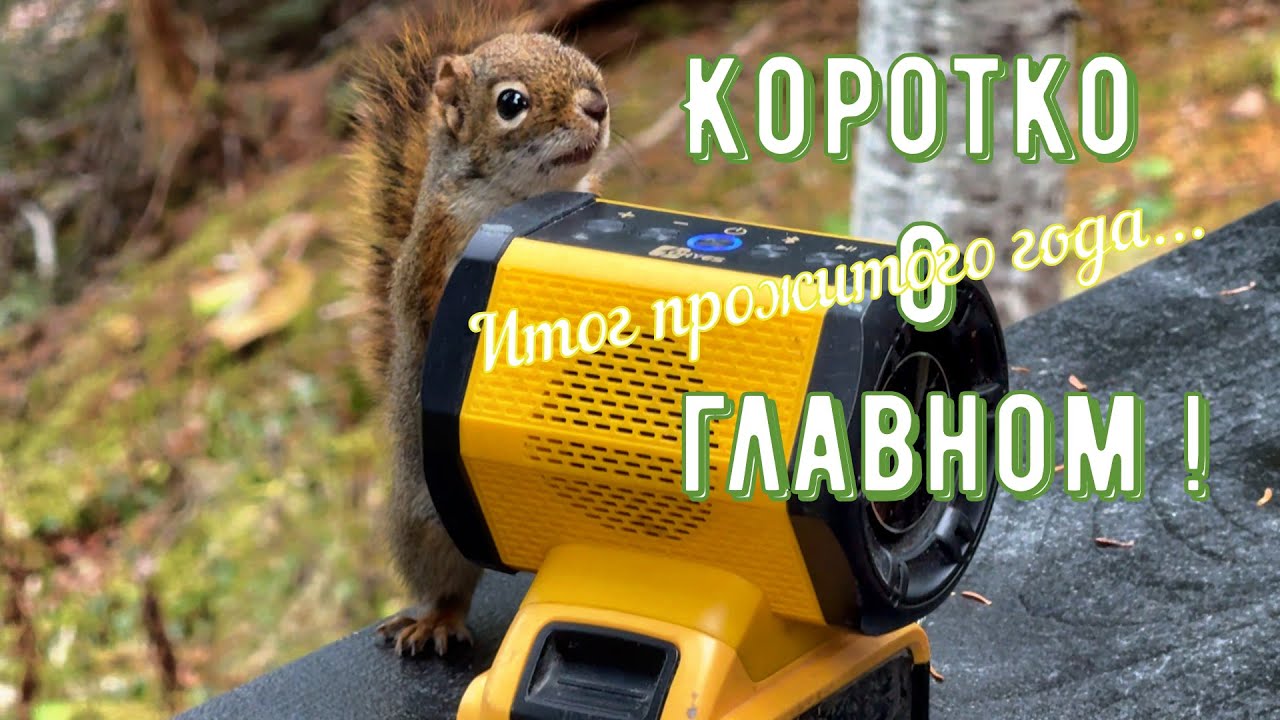 Коротко о Главном. Итог прожитого года...