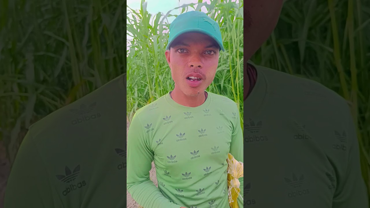 khaini shop ek bar mei Kha Raha hai 🤔