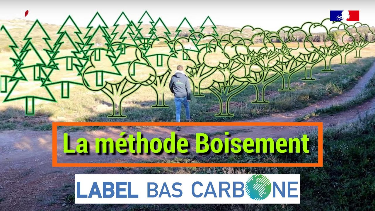 Label Bas-Carbone en forêt : un exemple de boisement avec le CNPF