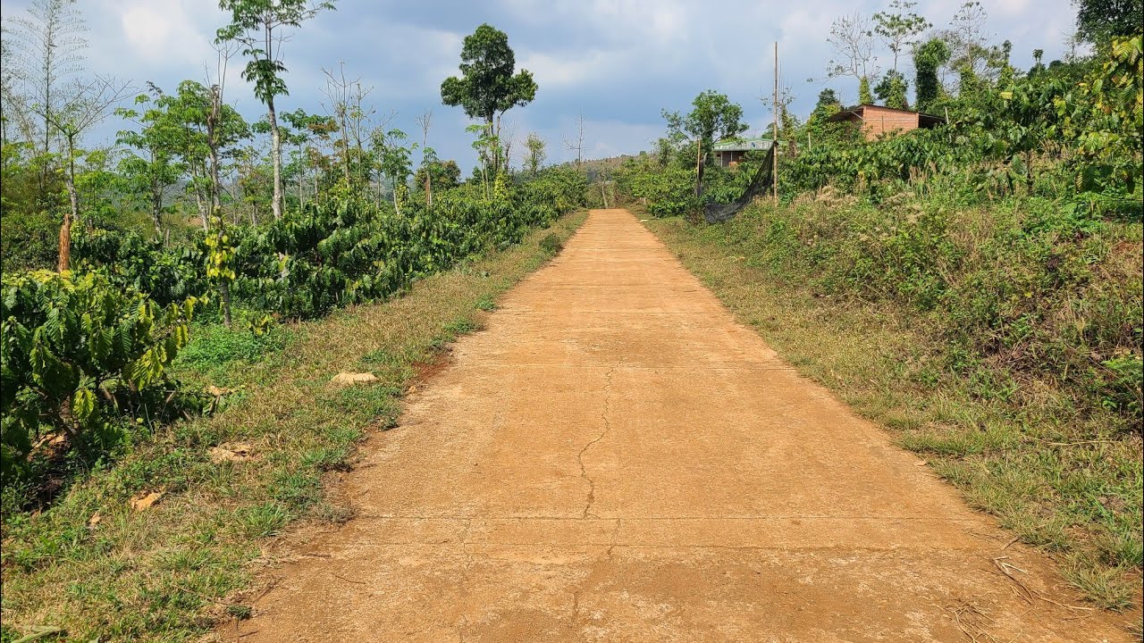 Bán gấp 8.1 sào đất vườn . bám 120 mét bê tông giá cực rẽ..