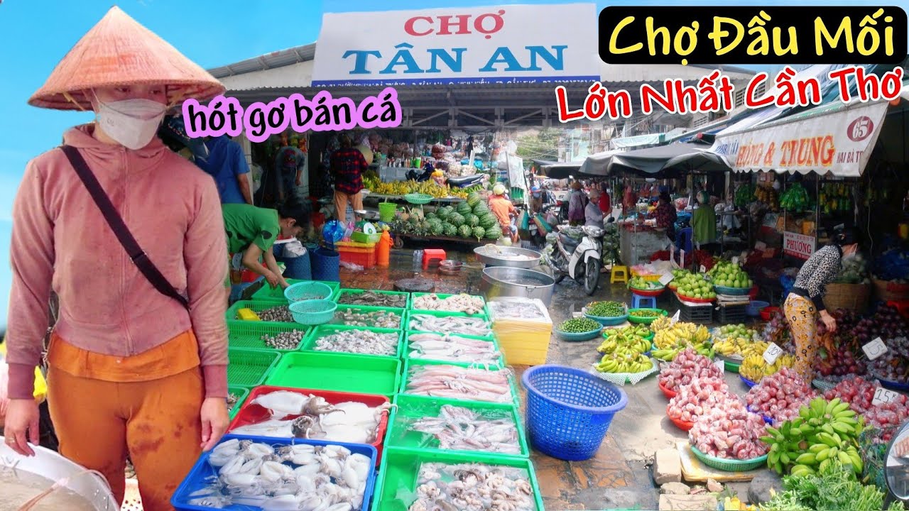 Gặp hót gơ bán cá mới 19 tuổi Chợ Tân An đầu mối lớn nhất Cần Thơ