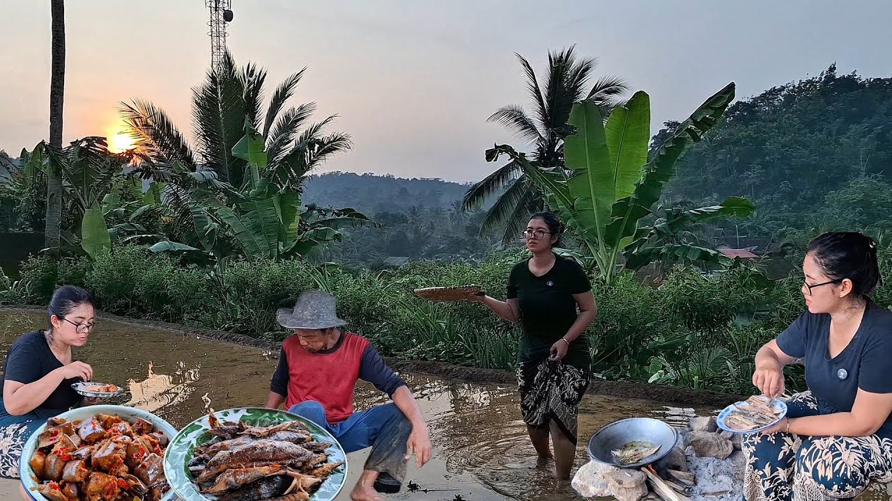 SUASANA PAGI YANG MENYEJUKAN DAN MENENANGKAN HIDUP DI DESA,, Pagi Pagi Masak Di Saung Sawah
