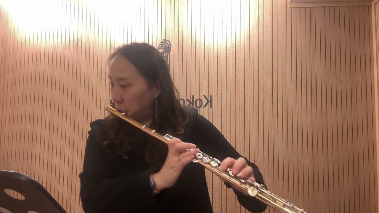 Donjon Flute Etude No. 2 | 플루트 에튀드 연습