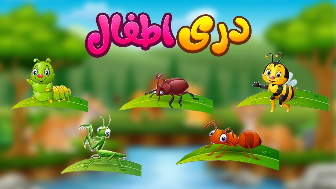 Introduction of Insects for Kids in Dari  معرفی حشرات برای اطفال به زبان دری