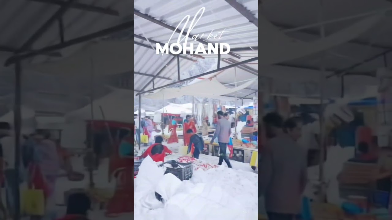 #Mohand #villagelife , #trendingshorts