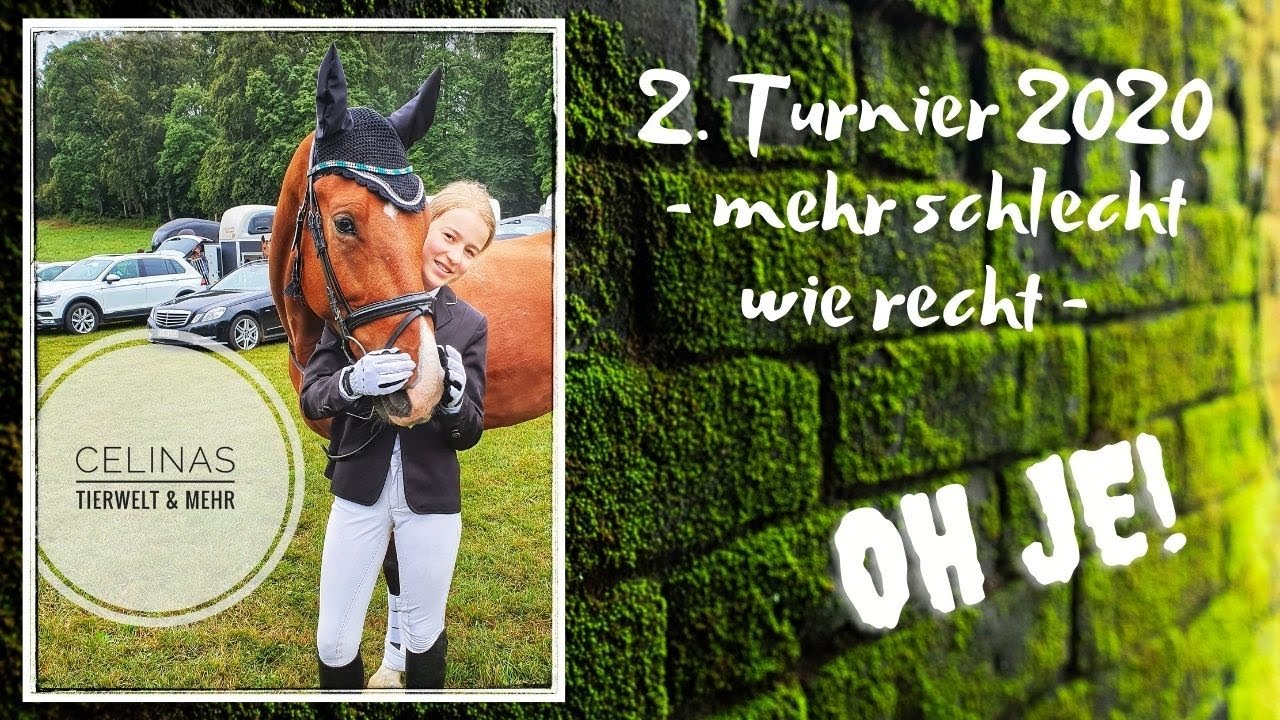 Dressurreiterwettbewerb Klasse E - oh je... 🥴