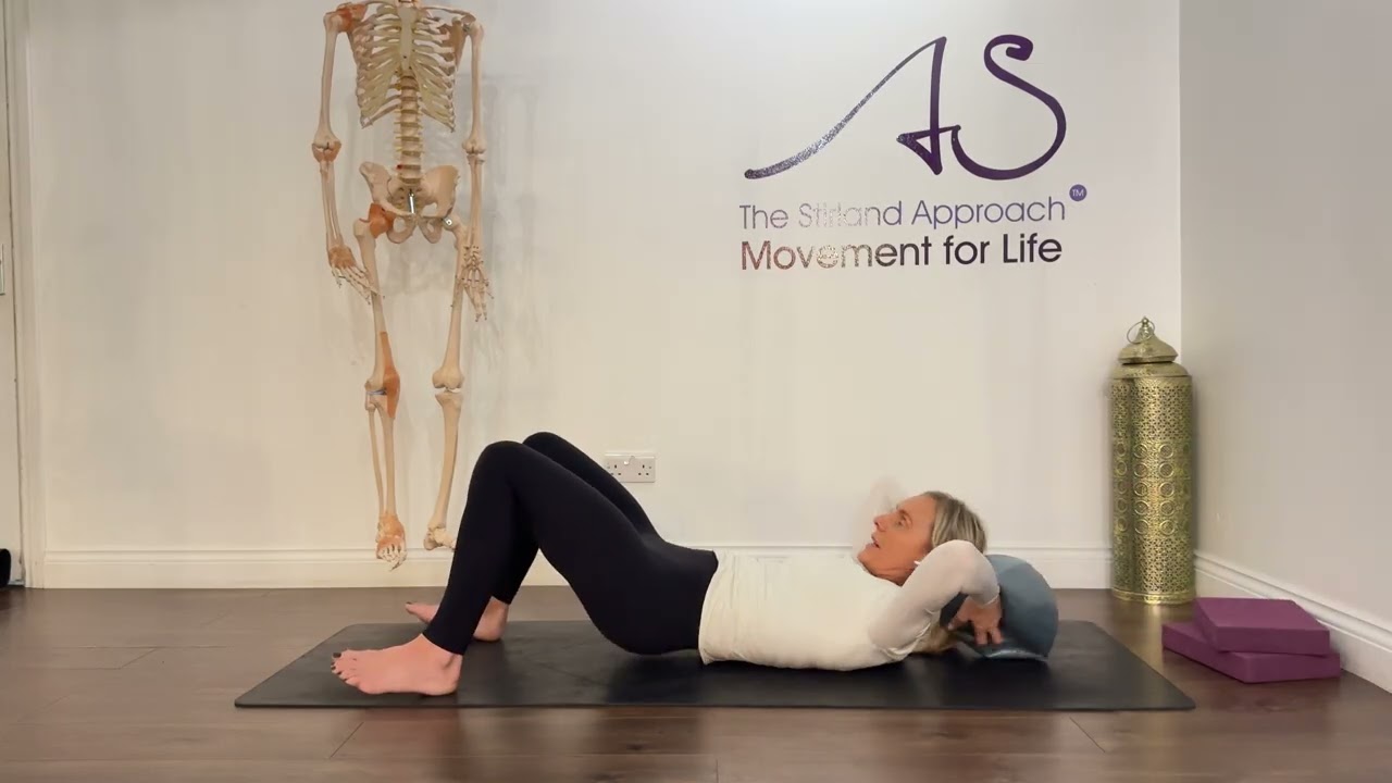 Beginners Movement video Jan 2026 