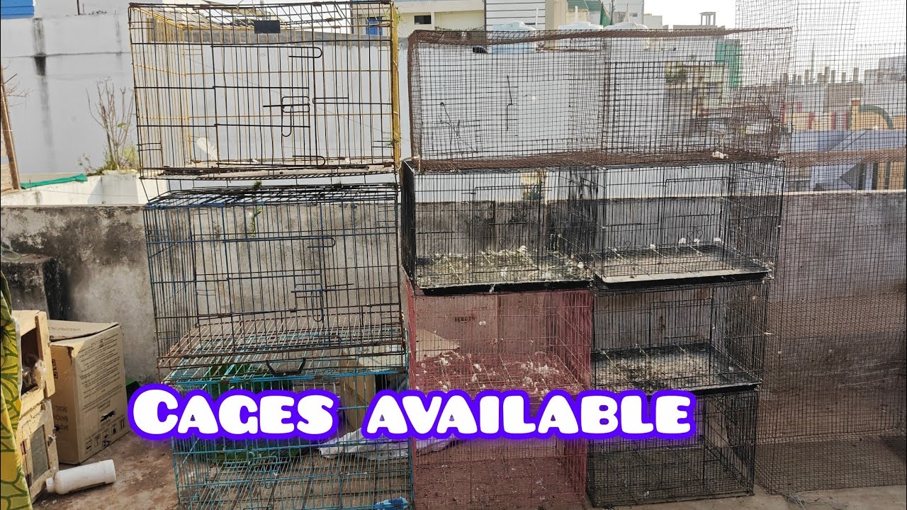CHINA CAGES AVAILABLE IN HYDERABAD 