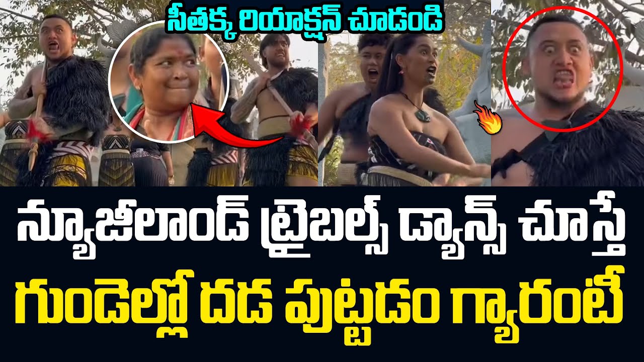 New Zealand Tribes Dance చూస్తే గుండెల్లో దడ పుట్టడం గ్యారంటీ Seethakka Dance With Tribes In Medaram