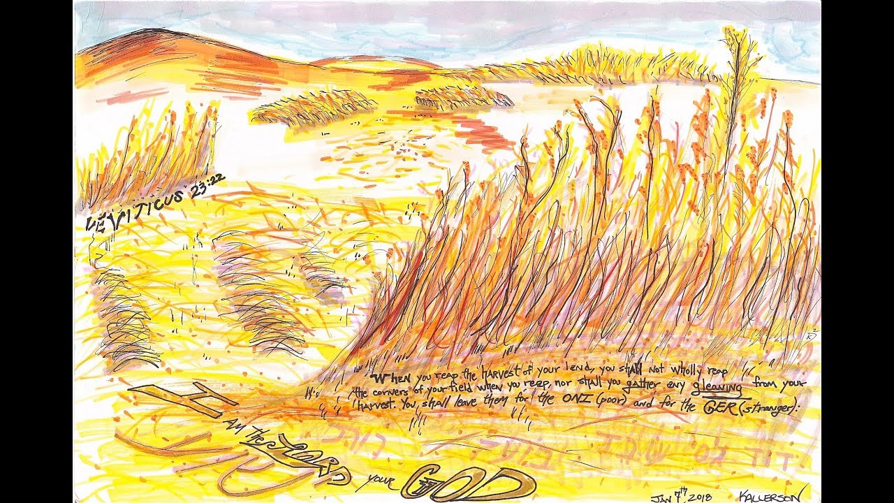 Leviticus 23:15-22 (The Feasts of the Lord, Weeks)