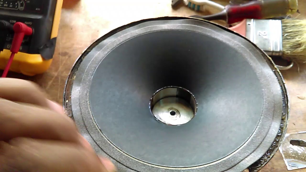 Neodinion bosina reparar cono