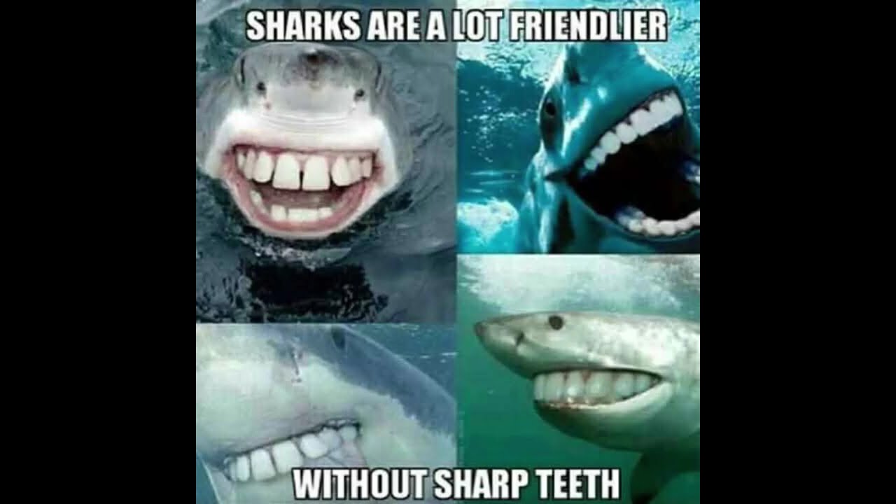 😆Funny Memes, Puns & Jokes 😆 Episode 395 😆 TRY NOT TO LAUGH 😆 BIG Compilation 😆Best On the Internet!
