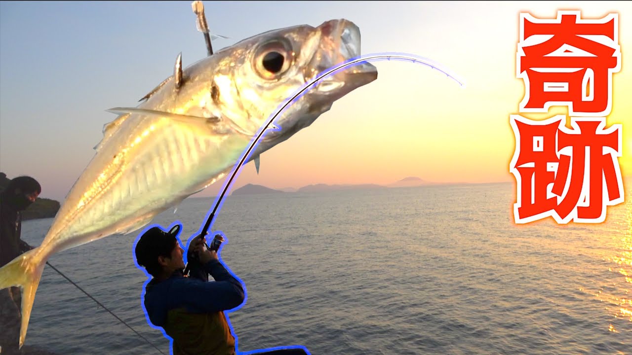 生きたアジを泳がせたら超高級魚が釣れた！！