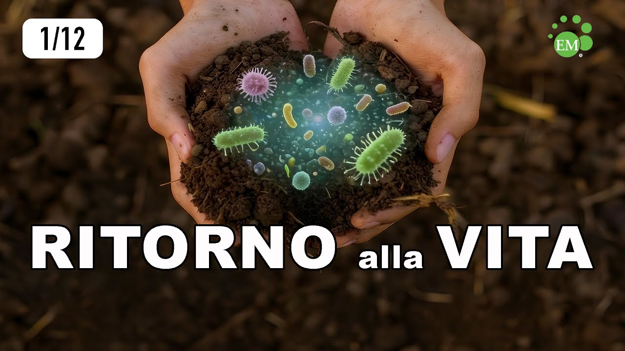 Cos’è la Tecnologia EM e perché rivoluzionerà il tuo orto