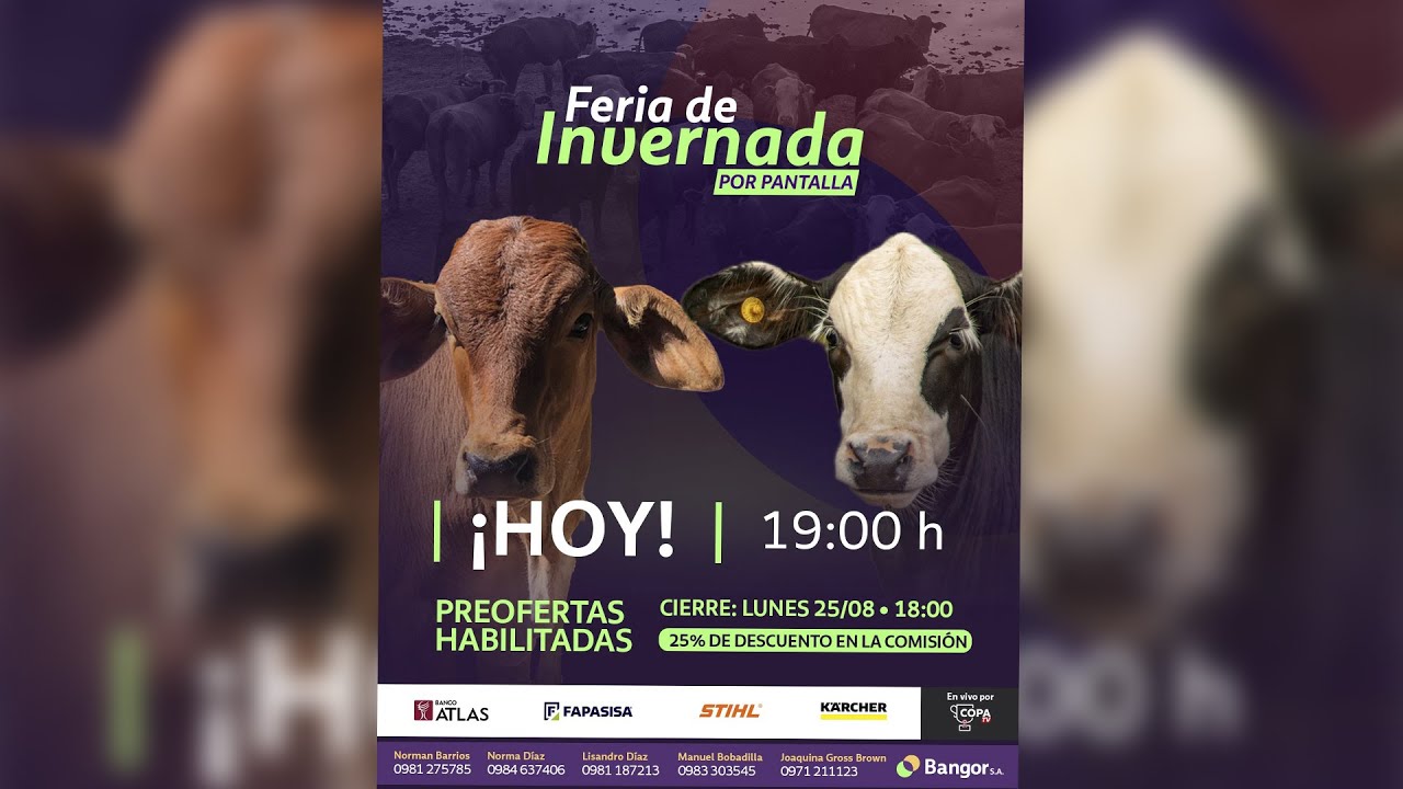 EN VIVO | Bangor // Feria de  Invernada por pantalla